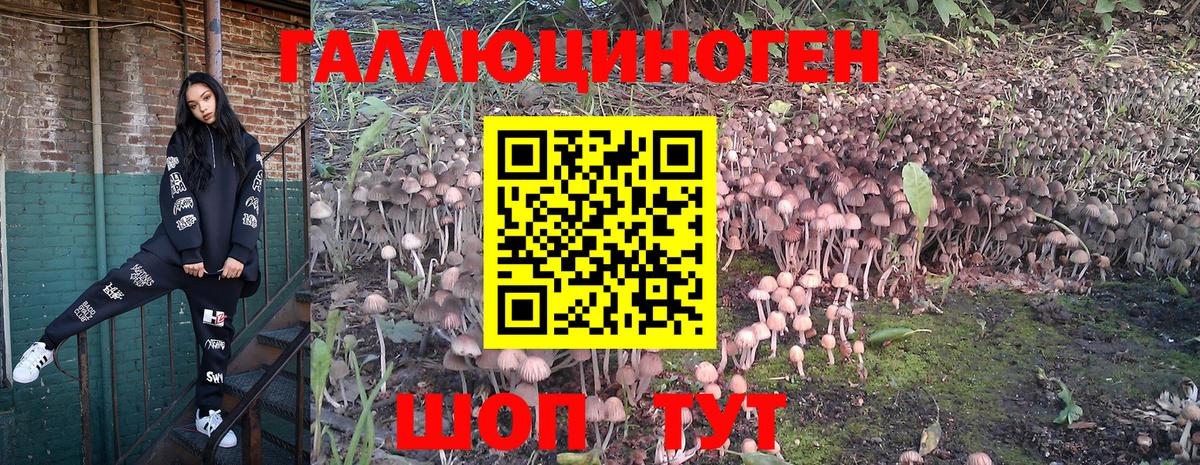 Галлюциногенные грибы Magic Shrooms  Вход с VPN  как найти   Советск  Галлюциногенные грибы Magic Shrooms 