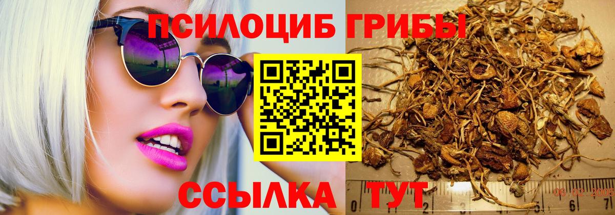 Галлюциногенные грибы Magic Shrooms Советск